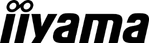 iiyama